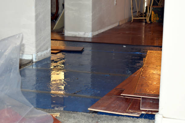 Professional Basement Flood Cleanup technician working in Essex, MD